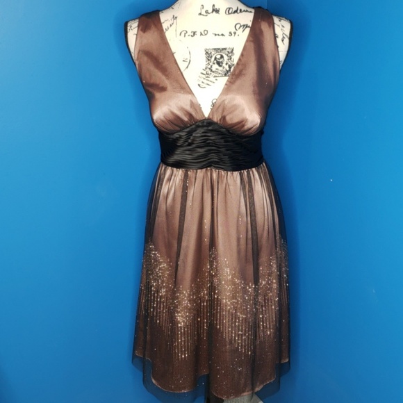 Adrianna Papell Boutique Pink Formal w/ black tule - Picture 1 of 8